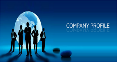 Company profile